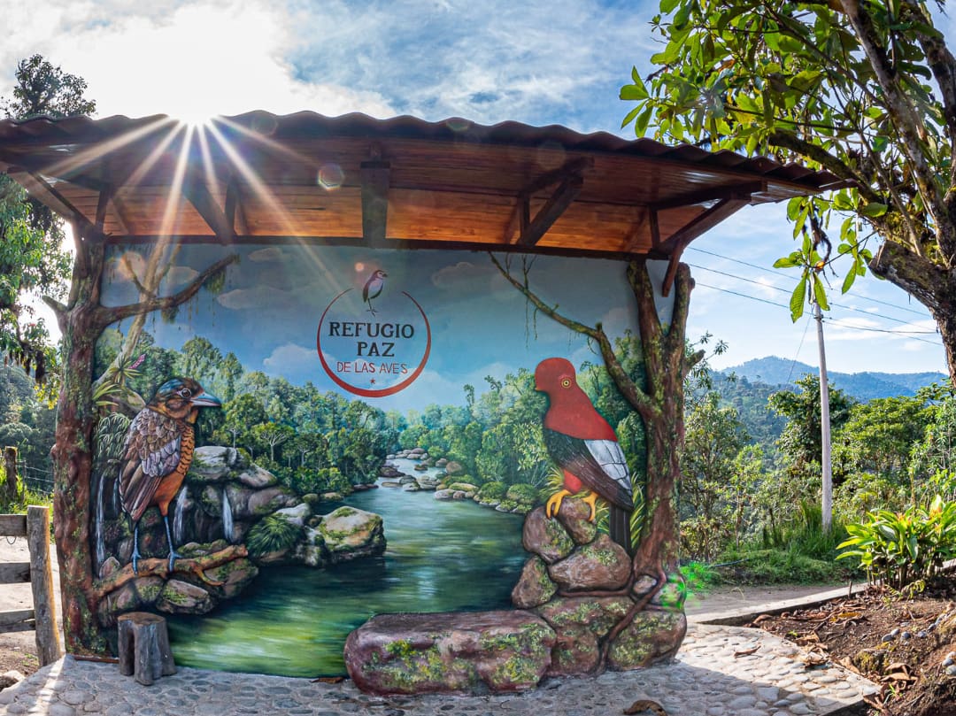 A mural and sign where visitors love to take their photos with Maria the Giant Antpitta and the Cock-of-the-Rock